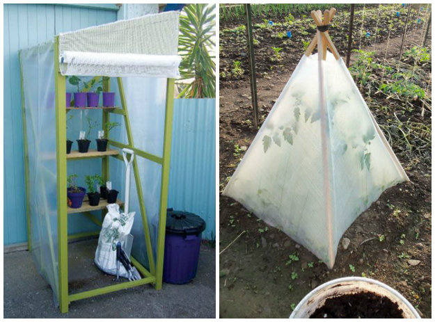 Collage of two greenhouses made from wooden frames with palstic sheeting
